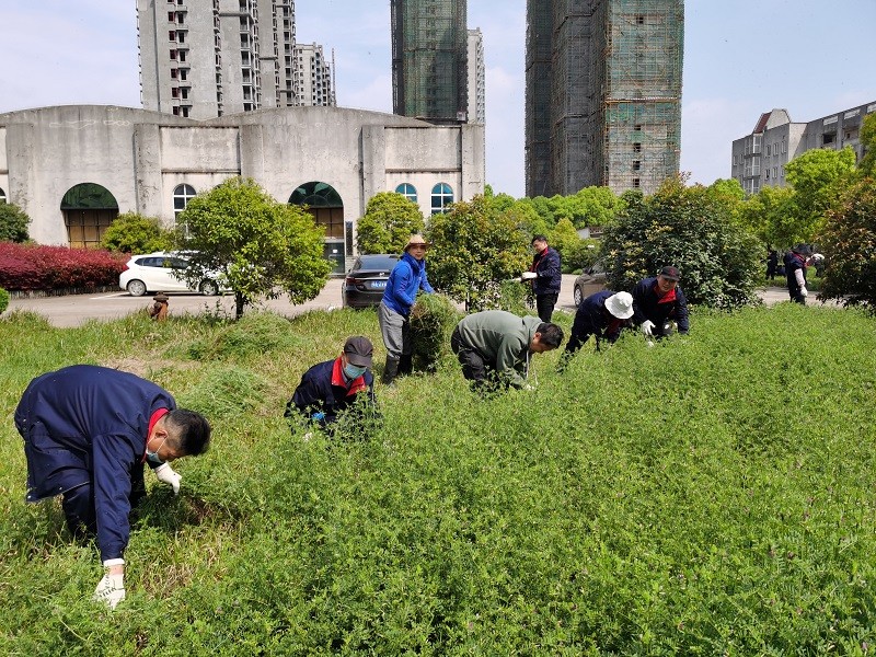 PP电子·仿照器(试玩游戏)官方网站